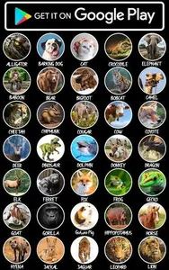 Chickadee Ringtones screenshot 4