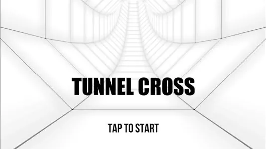 Tunnel Cross 3D screenshot 1