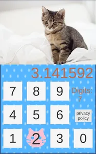 Pi Cat screenshot 0