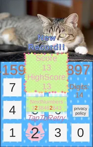 Pi Cat screenshot 4