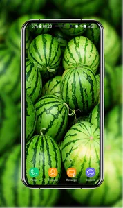 Watermelon Wallpapers screenshot 0