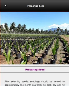 How to Grow Complete Hybrid Co screenshot 5