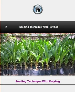 How to Grow Complete Hybrid Co screenshot 6
