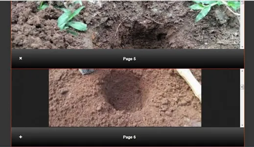 Complete Matoa Fruit Cultivati screenshot 20