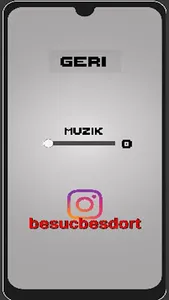 Kebap Toplayıcısı screenshot 3