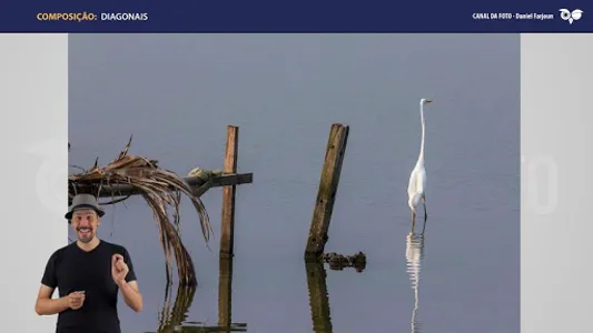 Canal da Foto - Descomplicando screenshot 2