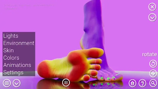 HAELE 3D - Feet Poser - Demo screenshot 15