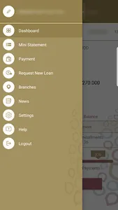 National Microfinance Bank screenshot 1