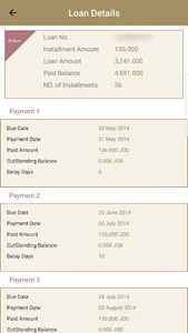 National Microfinance Bank screenshot 4