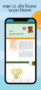 Class 12 Biology NCERT Hindi screenshot 11