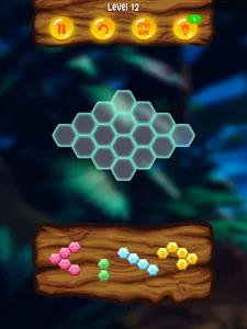 Block Puzzle Junglee screenshot 9