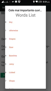 Aflați engleza ( learn more th screenshot 3