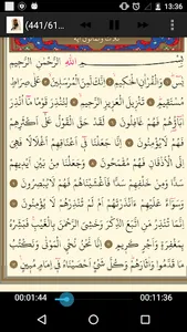 Abdulbasit Kuran Dinle ve Oku screenshot 0