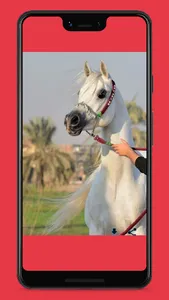 خلفيات خيول screenshot 1
