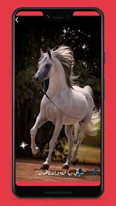 خلفيات خيول screenshot 2