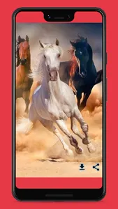 خلفيات خيول screenshot 4