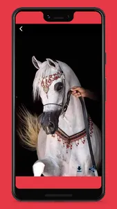 خلفيات خيول screenshot 6