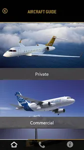 Air Business International screenshot 1