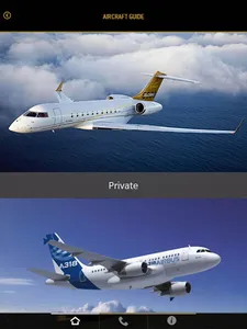 Air Business International screenshot 4