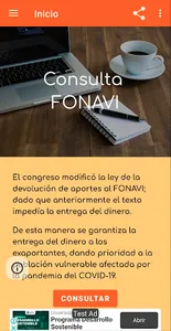 Consulta FONAVI - Padrón screenshot 2