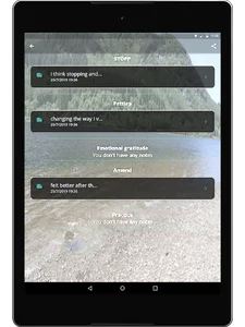 PERT screenshot 13