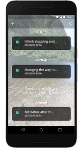 PERT screenshot 6