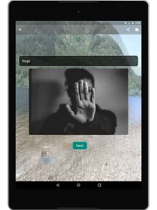 PERT screenshot 9