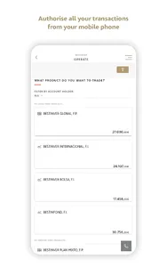 Bestinver screenshot 12