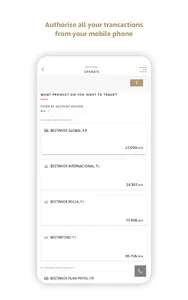 Bestinver screenshot 20