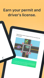 Teen & Adult Drivers Ed Online screenshot 6