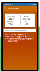 M-soko loan screenshot 3