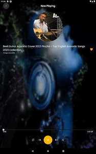 Acoustic Songs Mp3 screenshot 9