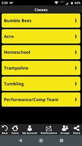 AcroDynamics screenshot 3