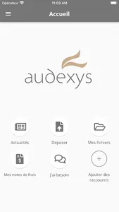 Audexys screenshot 1