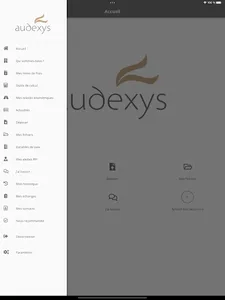 Audexys screenshot 14