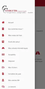 Evolutis Compta et Conseils screenshot 1