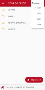 Evolutis Compta et Conseils screenshot 3