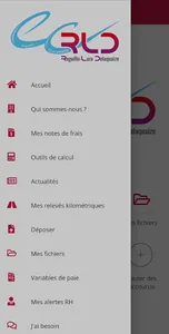 RLD Expert-Comptable screenshot 1
