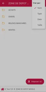 RLD Expert-Comptable screenshot 3