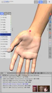 The Combinations For Acupoint screenshot 4