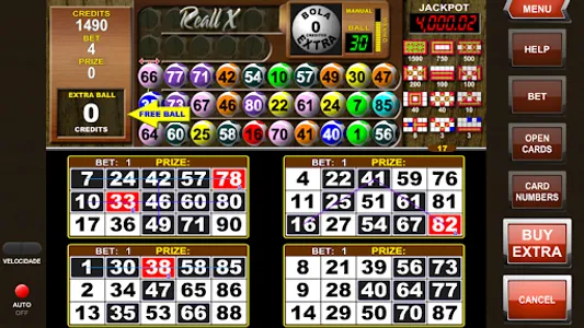 Video Bingo Reall X Flex screenshot 13