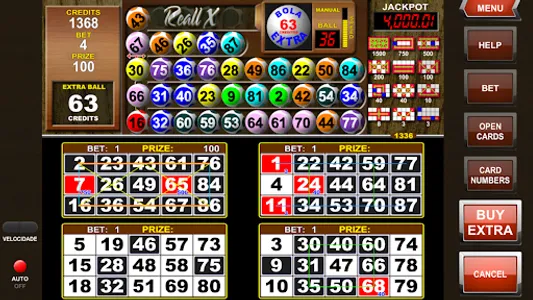 Video Bingo Reall X Flex screenshot 4