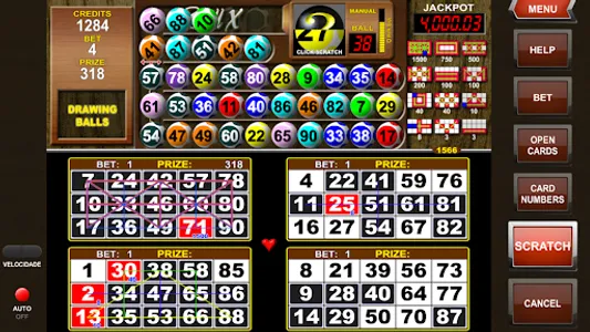 Video Bingo Reall X Flex screenshot 6