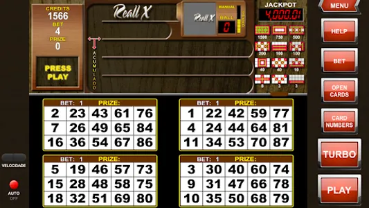 Video Bingo Reall X Flex screenshot 7