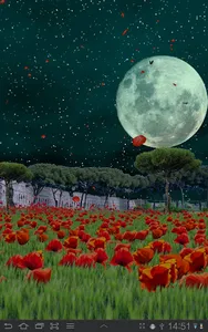Sea of Poppies Live Wallpaper screenshot 2