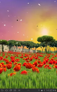 Sea of Poppies Live Wallpaper screenshot 3
