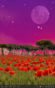 Sea of Poppies Live Wallpaper screenshot 4