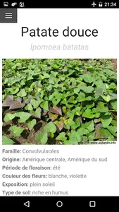 Au Potager screenshot 6
