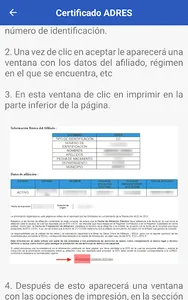 ADRES (Fosyga) Consulta screenshot 1
