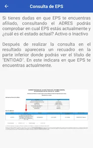 ADRES (Fosyga) Consulta screenshot 2